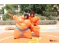 Jeux Sumo Adultes / Enfants 3
