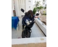GSXR 600 2