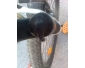 TECNOBIKE Bicyclette 2