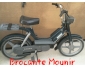 moto bravo 50