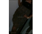robe soirée chic pas cher