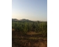 Terrain  agricole à Mannouba 2