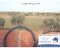 Terrain agricole à Kairouan à vendre 2