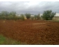 projet agricole + habitation à Béja 3