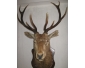 Objet de décoration en vente