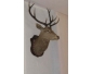 Objet de décoration en vente 3