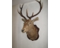 Objet de décoration en vente 2