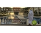 Custom Qamis Saoudien, Emirati, Koweiti, Bahreini  sur Mesure et Perso 2 Tunisie Custom Qamis Saoudien, Emirati, Koweiti, Bahreini  sur Mesure et Perso 2