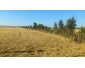 terrain agricole à vendre à Bizerte 