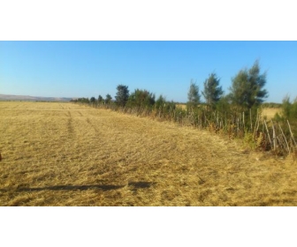 terrain agricole a vendre a bizerte