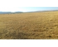 terrain agricole à vendre à Bizerte  2