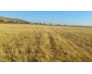 terrain agricole à vendre à Bizerte  3