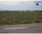 Un terrain nu de 28000 m² situé à Kairouan à vendre 2