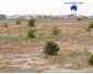 Terrai à vendre à Kairouan Sud 2