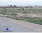 Vendre à kairouan terrain agricole 4 Tunisie Vendre à kairouan terrain agricole 4