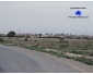 Vendre à kairouan terrain agricole 3 Tunisie Vendre à kairouan terrain agricole 3