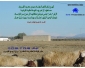 Terrain agricole a sidi mahmoud kairouan à vendre 2 Tunisie Terrain agricole a sidi mahmoud kairouan à vendre 2