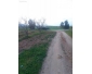 Terrain a vendre a Hammamet