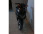 Scooter nitro 50 occasion à vendre 2