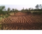 Terrain pour construction à bennane à vendre