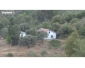 Terrain agricole à Jendouba à vendre 2