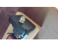 Senivysion 4