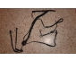 Collier de chasse 1