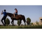 Cours d’équitation au Club Équestre Jafoura