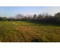 Terrain agricole