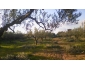 Terrain agricole 4