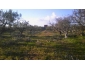 Terrain agricole 3