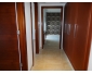 Appartement cycas 2