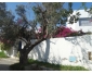 Maison bibou