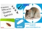Société 3D traitement cafard RATS SOURIS