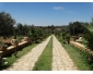 Ferme mourad t590