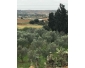 Ferme Ghardeya T586 Nabeul
