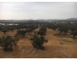 Villa Oedipe AV949 Hammamet Sud 4