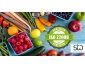 Responsable Management de la Sécurité Alimentaire ISO 22000