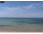 Terrain pied dans l eau a raoued 800 m²