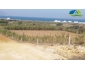 Terrain de  3000 m² à borj salhi