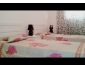 Appartement meubl 4